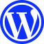 Wordpress CMS Website Development